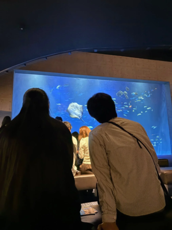 水族館の大水槽を鑑賞する人々